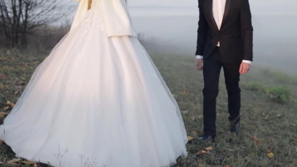 Novomanželé. Bělošský ženich s nevěstou na ranním poli. Mlha. Svatební pár — Stock video