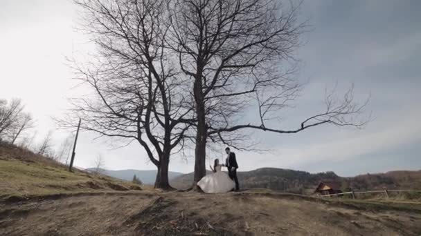 Recém-casados. Noivo caucasiano com noiva montar um balanço de corda em uma encosta da montanha — Vídeo de Stock