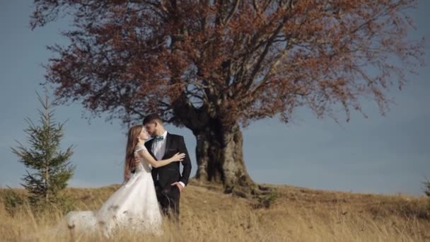 Novomanželé. Kavkazský ženich s nevěstou v blízkosti krásného podzimního stromu. Svatební pár — Stock video