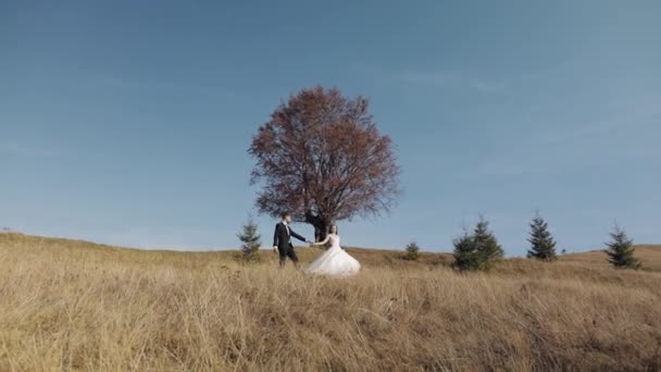 Recién casados. novio caucásico con novia caminando en la ladera de la montaña. Pareja de boda — Vídeos de Stock