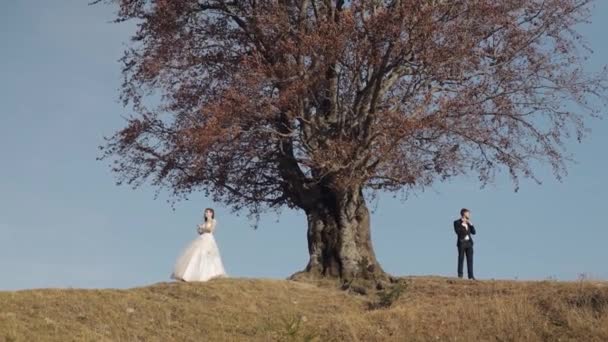 Recién casados. novio caucásico con novia cerca de hermoso árbol de otoño. Pareja de boda — Vídeos de Stock