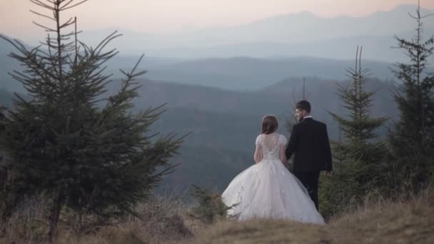 Novomanželé. Ženich s nevěstou kráčí po horském svahu. Svatební pár — Stock video