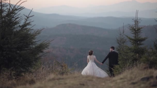 新婚旅行だよ。新郎新婦の山の斜面を歩いてください。結婚式のカップル — ストック動画