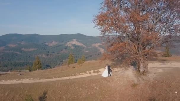 Newlyweds stand on a high slope of the mountain. Groom and bride. Aerial view — Stock Video