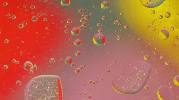 Fantastische Struktur aus bunten Blasen. Chaotische Bewegung. Abstrakter Hintergrund — Stockvideo