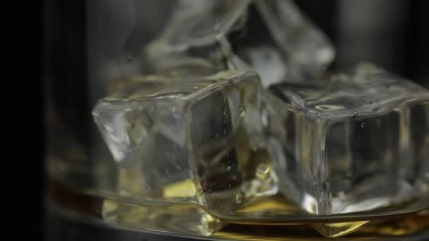 Versando alcool bere whisky, cognac in vetro con cubetti di ghiaccio. Rallentatore — Video Stock