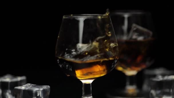 Jégkockát dobtak egy pohár alkoholos whiskey-be, konyakba. Lassú mozgás. — Stock videók