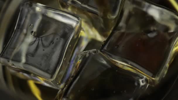 Verser le whisky, le cognac dans un verre avec des glaçons. Verser de l'alcool. Macro — Video