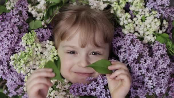 Yüzünün etrafında bir demet leylak çiçeğinden bakan tatlı bir kız çocuğu. — Stok video