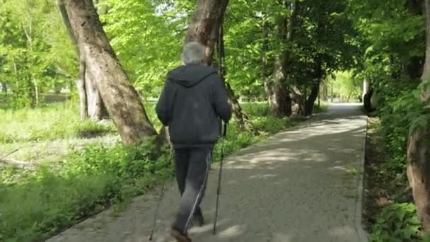 Vieil homme actif s'entraînant à la marche nordique avec des bâtons de ski de randonnée dans le parc — Video