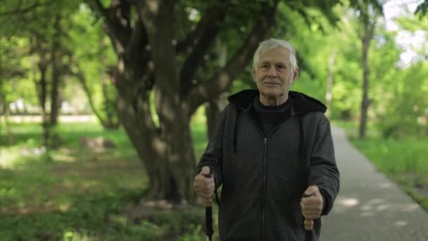 Actieve oude man traint Nordic walking met ski trekking stokken in het park — Stockvideo