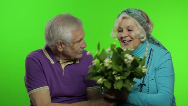 Pareja mayor madura. Abuelo da ramo de flores a la abuela — Vídeos de Stock