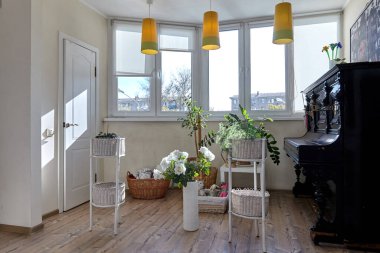 Güzel bir iç mekanı olan oturma odası.