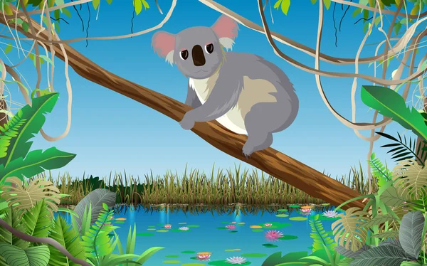 Koala Rama Árbol Selva — Vector de stock