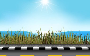  Gündüz vakti plajda yol manzarası