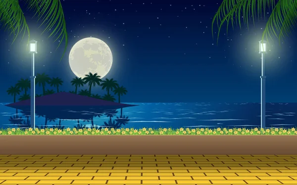 Пейзаж Квітника Пляжі Вночі — стоковий вектор