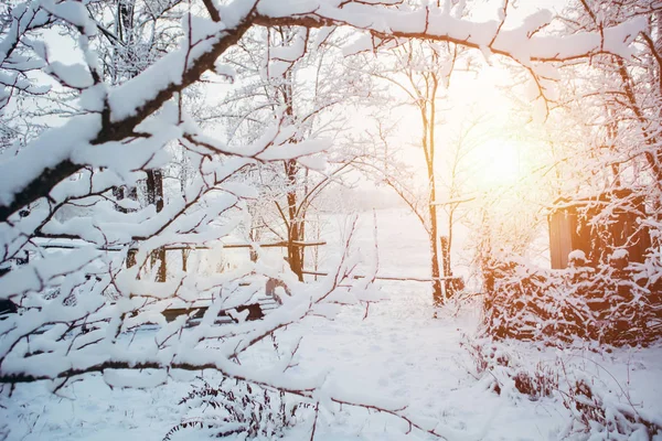 雪に覆われた冬の風景 ストック写真