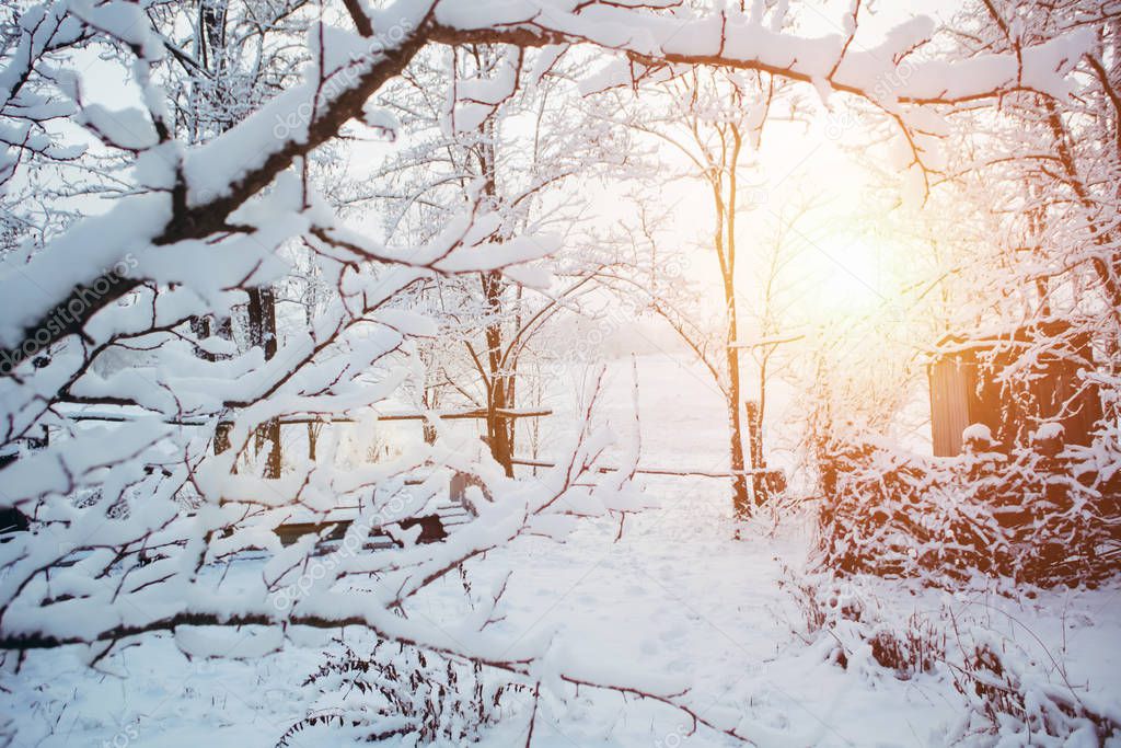 Snowy winter landscape