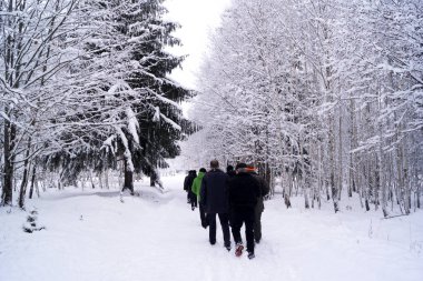 Kış karlı, insan ve yoğun kar yağışı ağaçlarda.