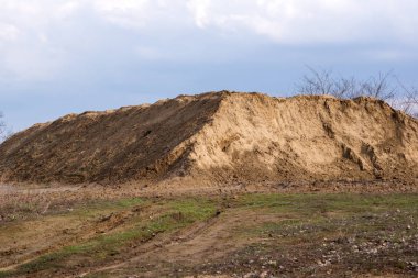 Çatı duvar girip kum martin (Riparia riparia) yuva.  