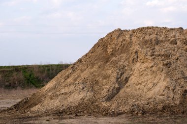 Çatı duvar girip kum martin (Riparia riparia) yuva.  