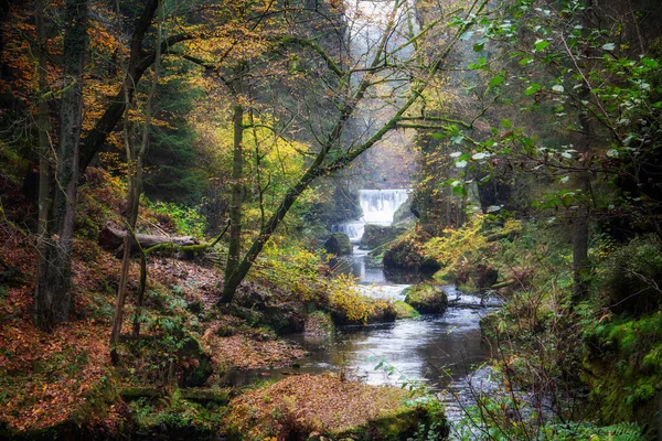 Autumn moments — Stock Photo, Image