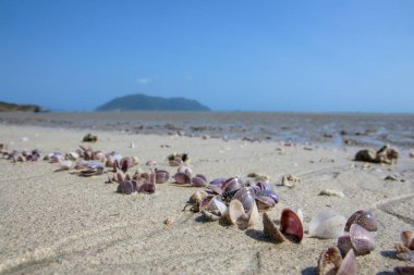 Con Dao Adası Vietnam 'da güzel bir cennet