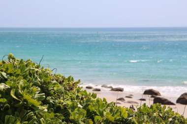 Con Dao Adası Vietnam 'da güzel bir cennet