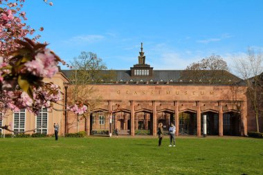 Leipzig 'de baharda kiraz çiçekleriyle güzel bir resim.