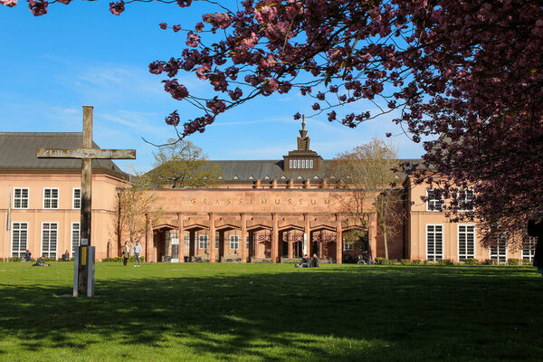 Beautiful Picture with cherry blossoms at springtime in Leipzig