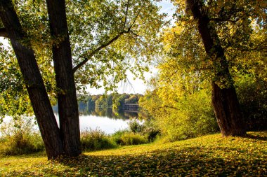 Sonbaharda Leipzig Auensee, Almanya