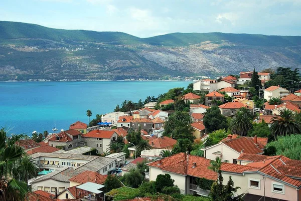 View of the Kotor Bat Montenegro