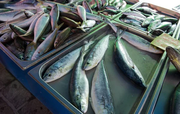 Fresh fish in street market, Fresh raw of fish in the market. Fish market