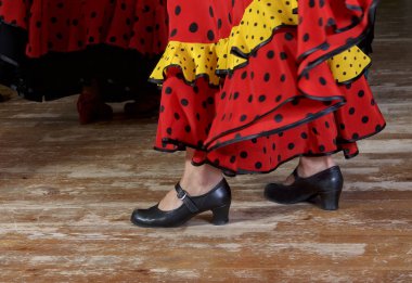 Flamenko dansçıların sadece bacakları kesilmiş, parçası Fotoğraf bacaklar İspanyol flamenko dansçısı, sınıfta eğitim fotoğrafı parçası.