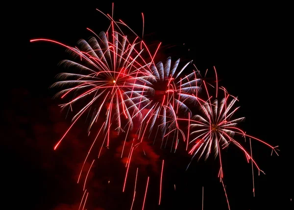 Tło Programu Fireworks Kolorowe Fajerwerki Białym Tle Ciemnym Tle — Zdjęcie stockowe