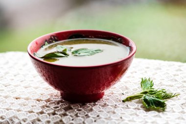 Sağlıklı bir kuş sürüsü çorbası (