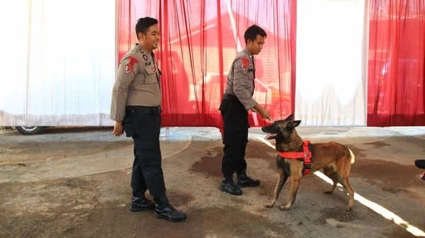 Μέλος Της Αστυνομίας Της Ομάδας Ειδικοί Στην Ανίχνευση Σκύλων Κατά — Φωτογραφία Αρχείου