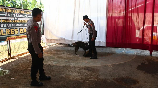 Anggota Polisi Dari Tim Spesialis Anjing Pelacak Saat Pelatihan Batang — Stok Foto