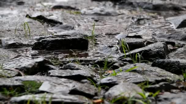 Ciemne Tło Padającego Deszczu Deszczowa Kropla Wody Spadająca Kamień Deszczowe — Wideo stockowe