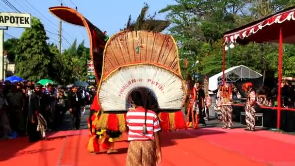 Pekalongan Java Central Indonesia Octubre 2019 Los Participantes Desfilan Trajes — Vídeos de Stock