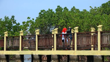  Pekalongan sahilindeki mangrov parklarını ziyaret eden turistler