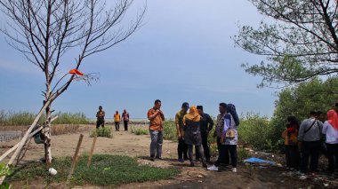  Pekalongan sahilindeki mangrov parklarını ziyaret eden turistler
