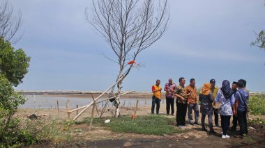  Pekalongan sahilindeki mangrov parklarını ziyaret eden turistler