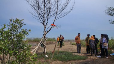  Pekalongan sahilindeki mangrov parklarını ziyaret eden turistler