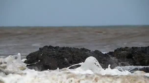 Heftige Wellen Strand Die Die Schwarzen Korallen Mit Selektivem Fokus — Stockvideo