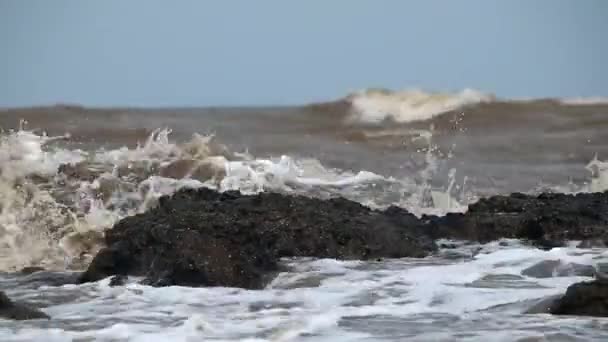 海滩上的巨浪袭击了黑色珊瑚 并有选择地将重点放在 — 图库视频影像