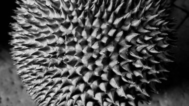  durian deri dokusu siyah ve beyaz, odaklanmamış, seçici odaklanmış ve soyut bulanık