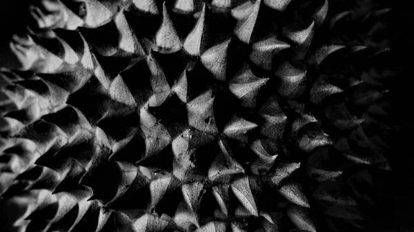 Durian skin texture with black and white, unfocused, selectively focused and abstract blurry — Stock Photo, Image