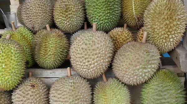 King Fruits Durian Populär Tropisk Frukt Asien — Stockfoto