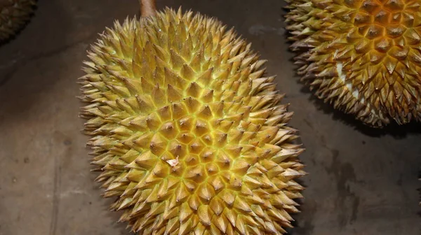 Raja Buah Durian Adalah Buah Tropis Yang Populer Asia — Stok Foto